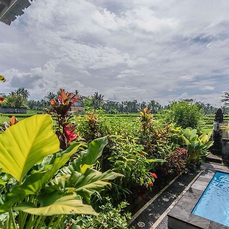 Pondok Anastasia อูบุด ภายนอก รูปภาพ