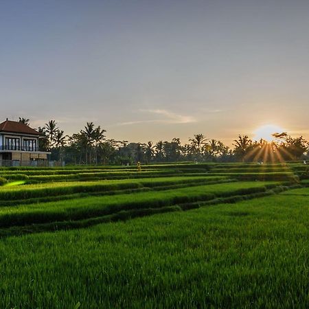 Pondok Anastasia อูบุด ภายนอก รูปภาพ