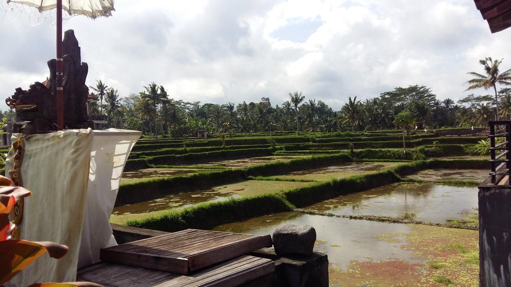 Pondok Anastasia อูบุด ภายนอก รูปภาพ