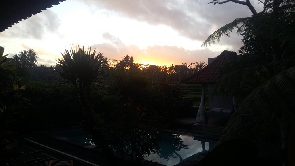 Pondok Anastasia อูบุด ภายนอก รูปภาพ