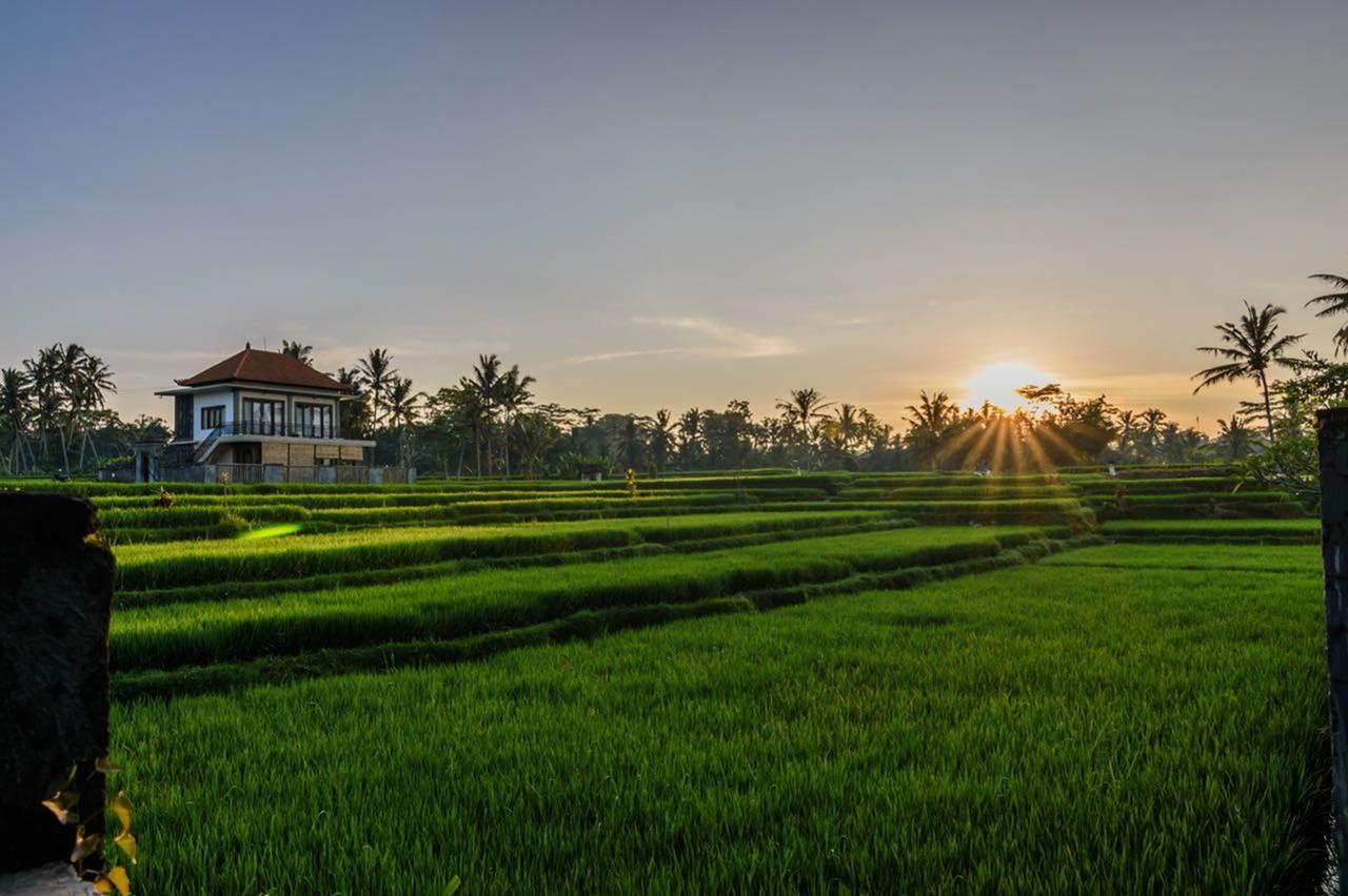 Pondok Anastasia อูบุด ภายนอก รูปภาพ