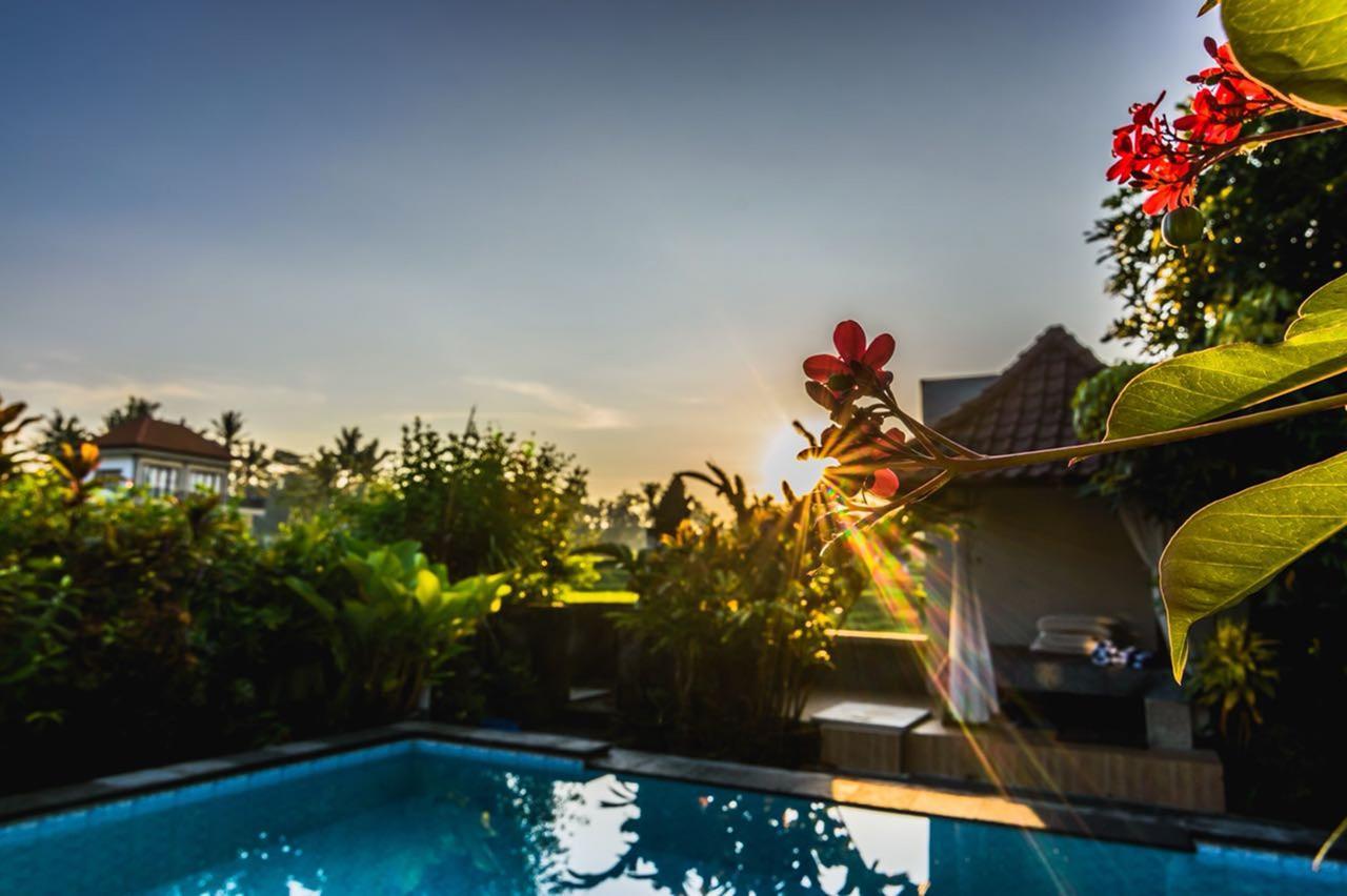 Pondok Anastasia อูบุด ภายนอก รูปภาพ